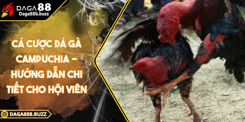 ca-cuoc-da-ga-campuchia