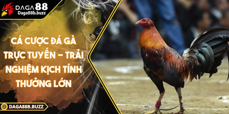 ca-cuoc-da-ga-truc-tuyen