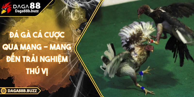 da-ga-ca-cuoc-qua-mang