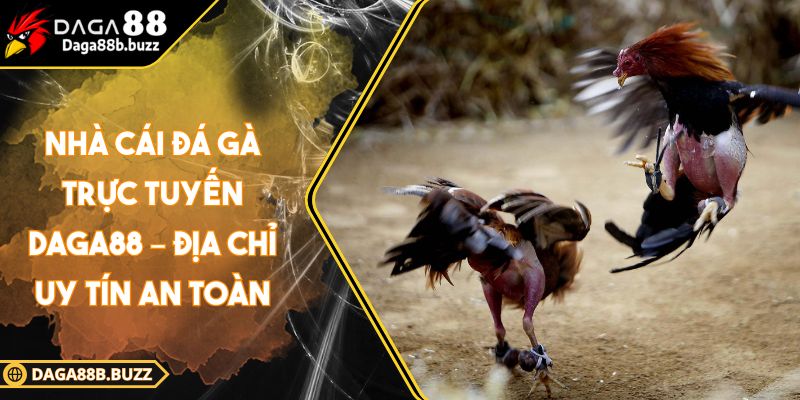 nha-cai-da-ga-truc-tuyen
