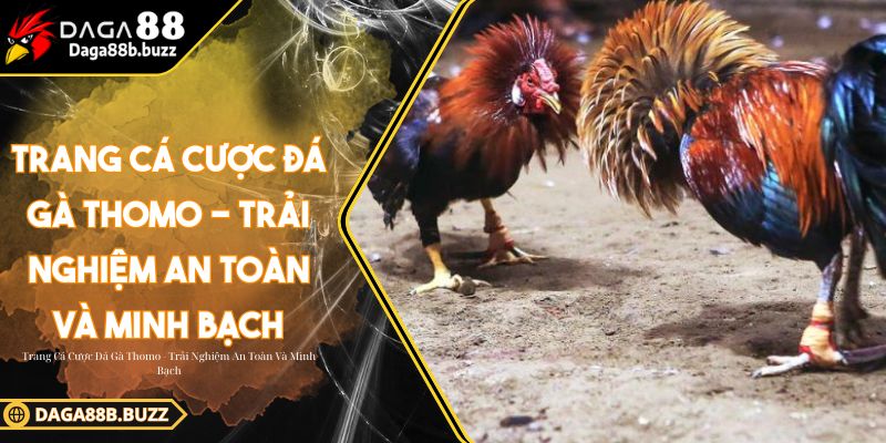 trang-ca-cuoc-da-ga-thomo