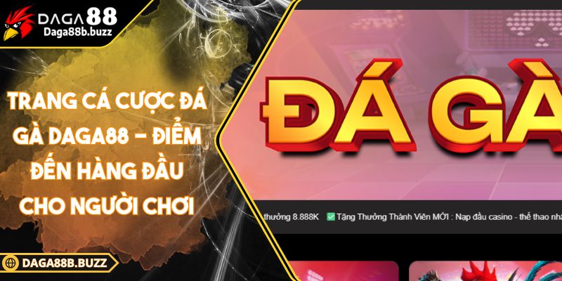 trang-ca-cuoc-da-ga